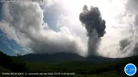Gunung Lewotobi Laki-laki Erupsi Lagi, Tinggi Kolom Abu Capai 1.500 Meter