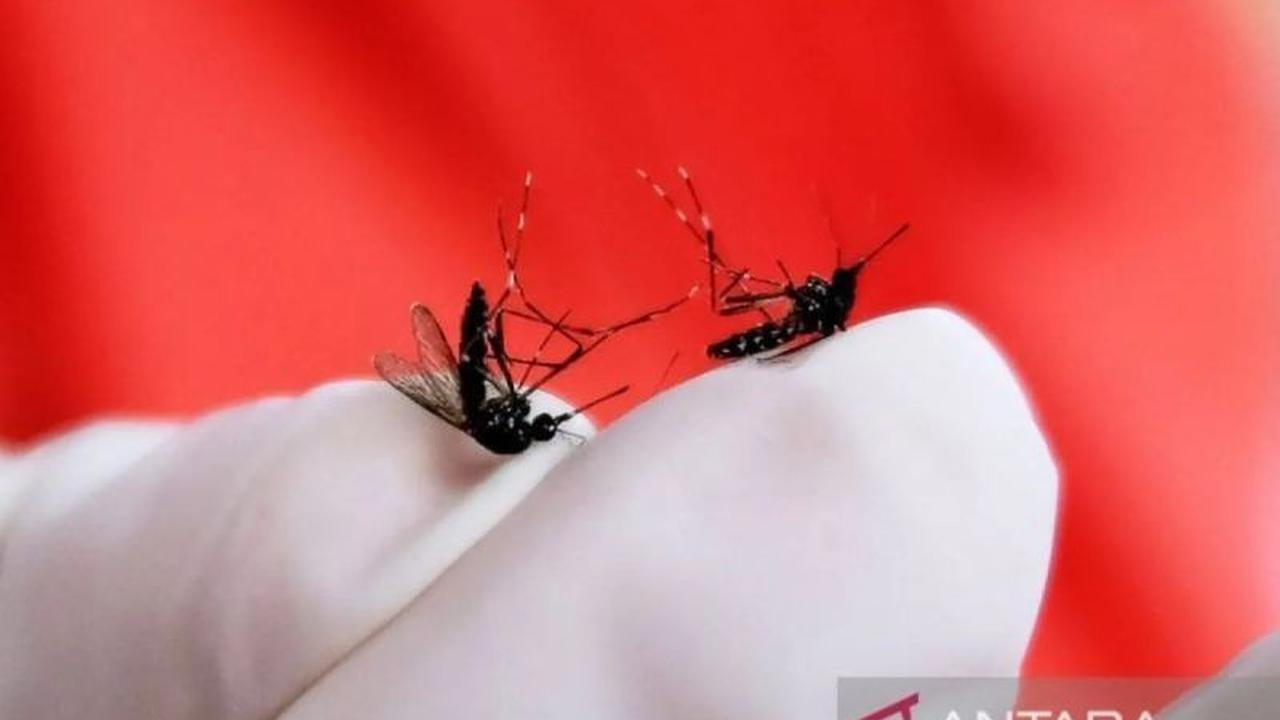 Dinkes Riau Ingatkan Warga Jaga Kebersihan Lingkungan untuk Pencegahan DBD