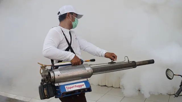 Indonesia Bebas DBD, Kontribusi Cap Lang Kayu Putih Menjaga Keluarga Indonesia dari Penyakit Akibat Nyamuk