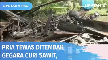 Kepergok mencuri sawit, seorang warga di Labuhanbatu Selatan, Sumatra Utara, tewas ditembak polisi yang menjaga lahan perkebunan. Protes terhadap kematian korban, ratusan warga pun merusak kantor perusahaan sawit dan membakar puluhan motor.