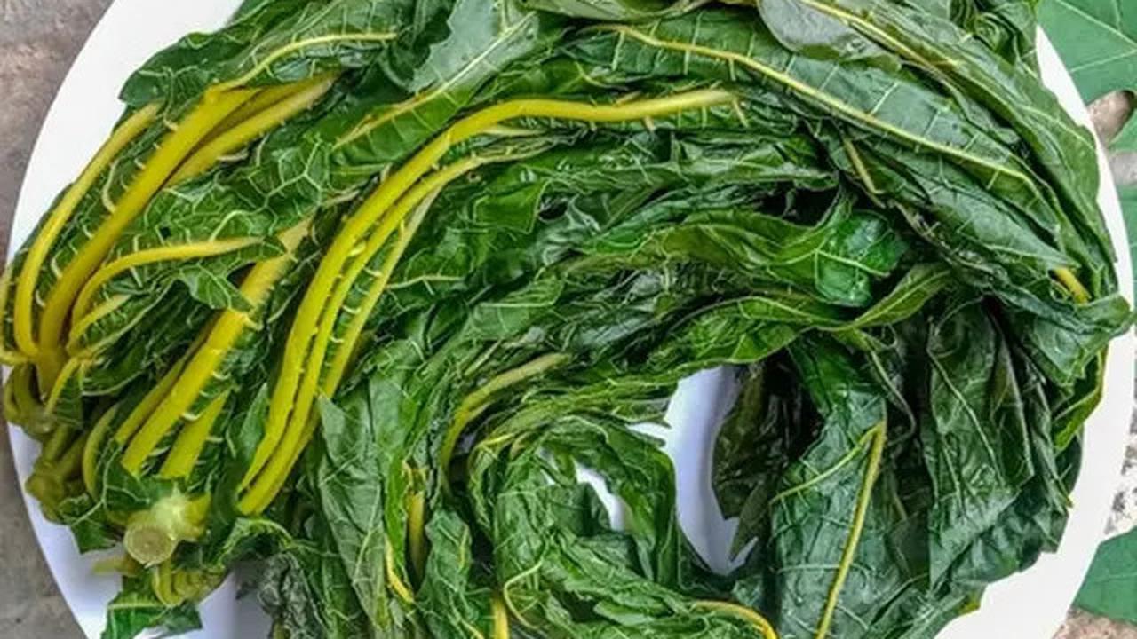 Cara Menurunkan Kolesterol Tinggi, Khasiat Daun Pepaya Sebagai Solusi yang Jarang Diketahui