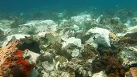 Kondisi terumbu karang yang rusak di perairan Raja Ampat usai dihantam kapal pesiar Inggris, Papua, Senin (13/3). Terumbu karang yang rusak diperkirakan mencapai 1.600 meter persegi. (AFP Photo/Bakamla)