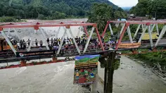 Hari Orang Utan Sedunia: Peringatan Keras dari Batang Toru