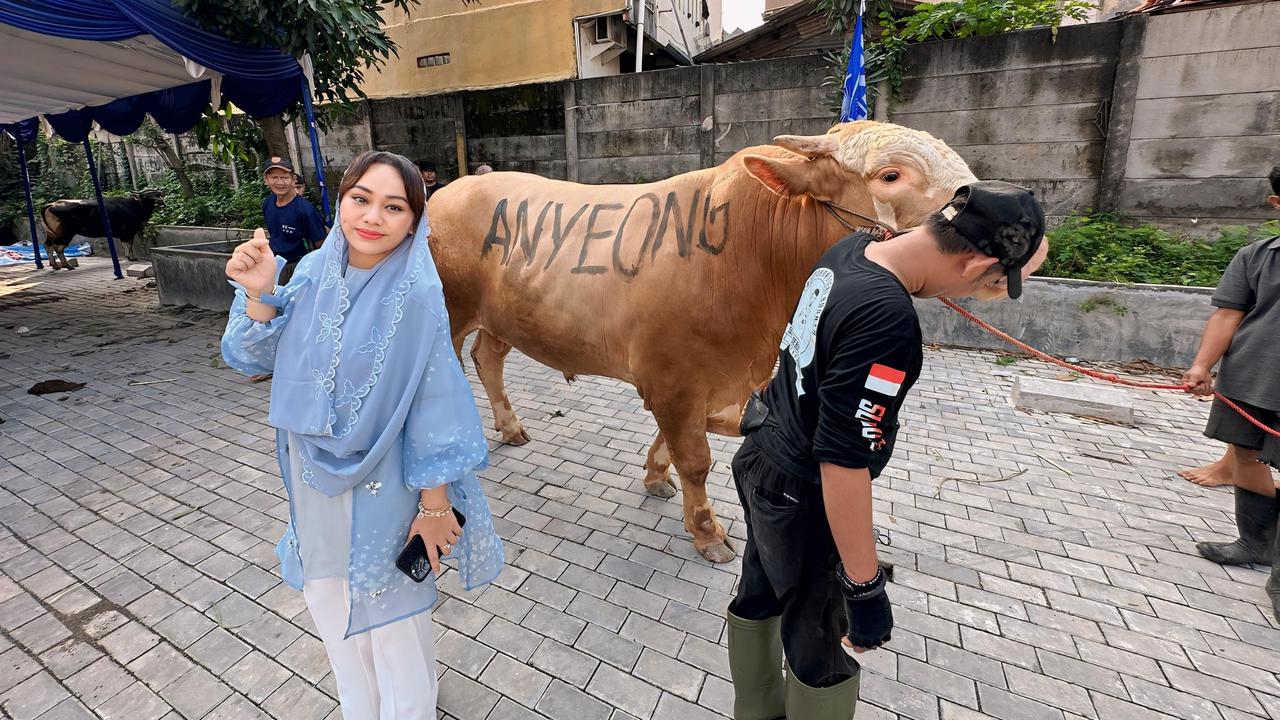 Wakil Ketua DPRD DKI Jakarta Zita Anjani berkurban 2 ekor sapi.