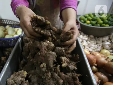 Pedagang menata jahe merah yang dijual di Pasar Rumput, Jakarta, Kamis (5/3/2020). Akibat merebaknya wabah virus corona, harga jahe merah melonjak di pasar itu dan dijual dengan harga Rp 95.000/kg. (Liputan6.com/Angga Yuniar)