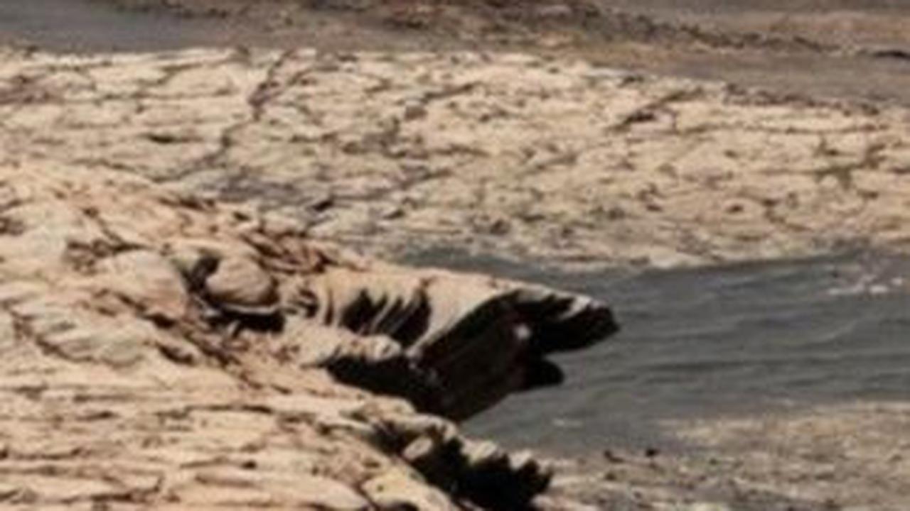 Ilmuwan Temukan Ada Kehidupan di Mars!