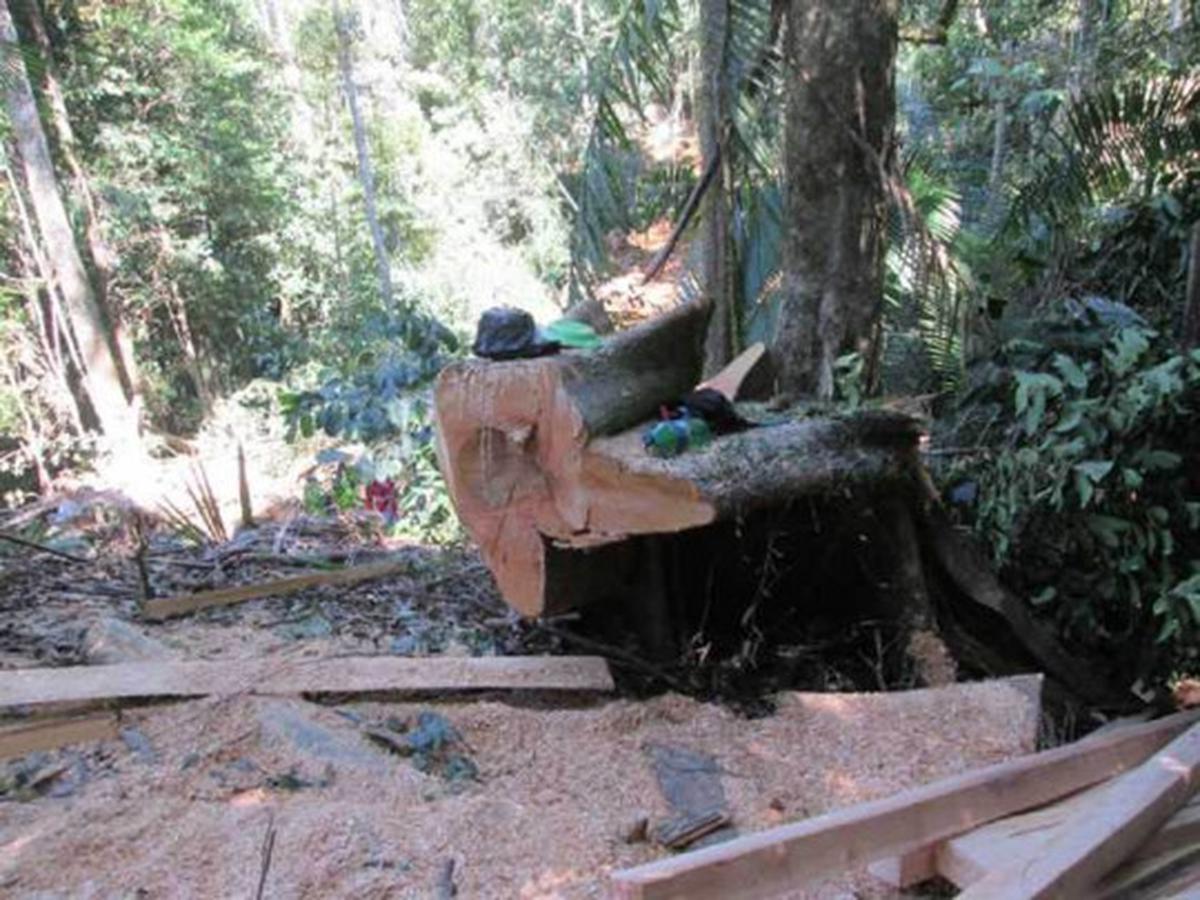 Parahnya kerusakan hutan lindung di Sulut akibat tambang ilegal