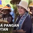 Titiek Soeharto Pimpin Kunjungan Kerja Komisi IV DPR Pantau Panen Raya di Klaten