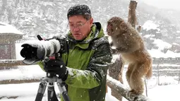 Seekor kera mendekati fotografer untuk melihat foto di kamera di Wulongkou Nature Reserve, Tiongkok (6/1). Tingkah kera yang akrab dengan fotografer ini menjadi pemandangan menarik. (AFP Photo/China Out)