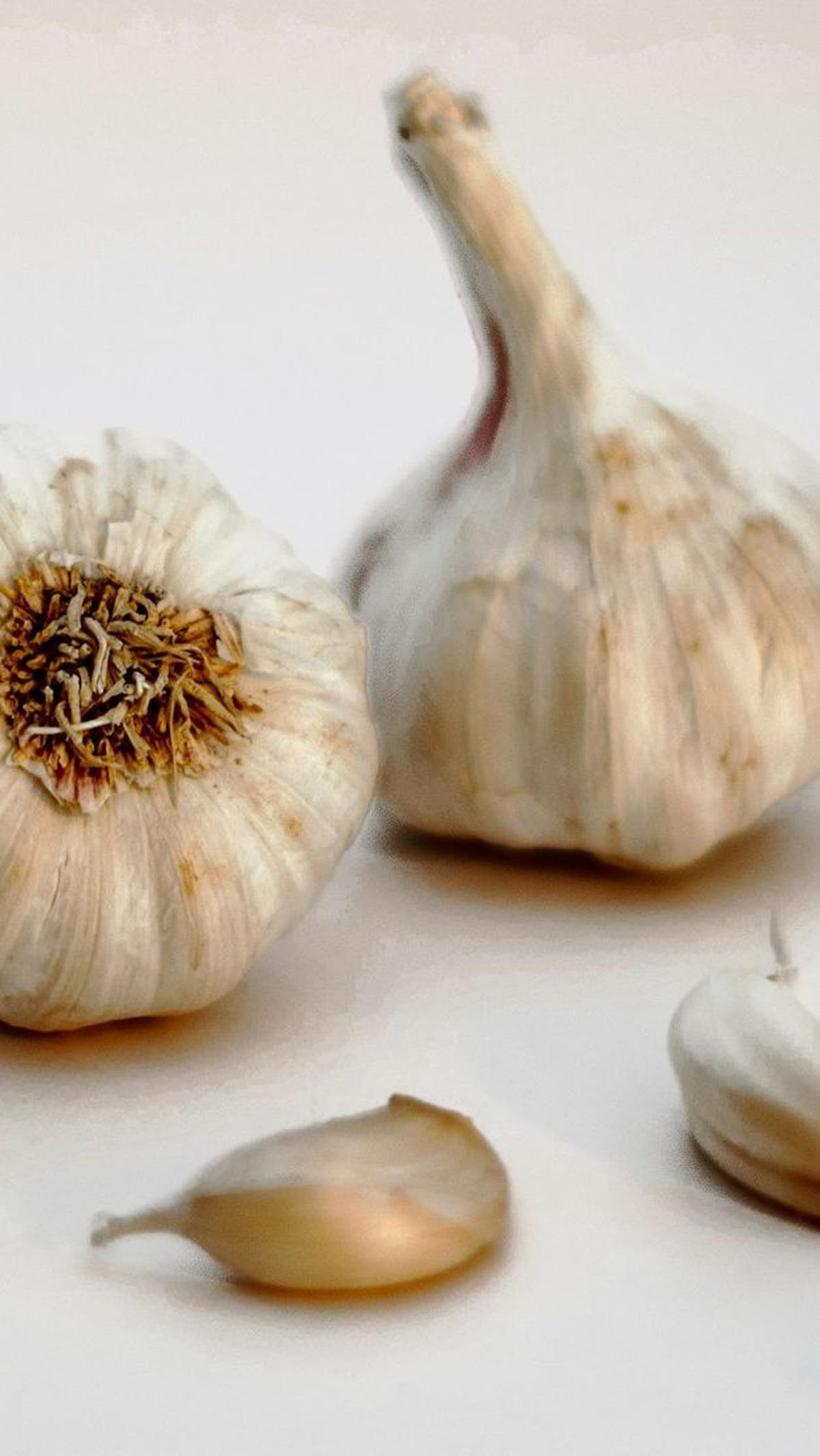 Manfaat Bawang Putih Lainnya<br>
