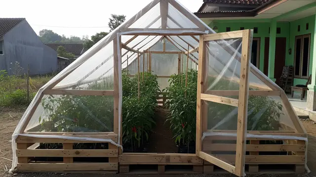 Rumah Kaca Mini dari Palet Kayu Bekas dan Terpal Bening