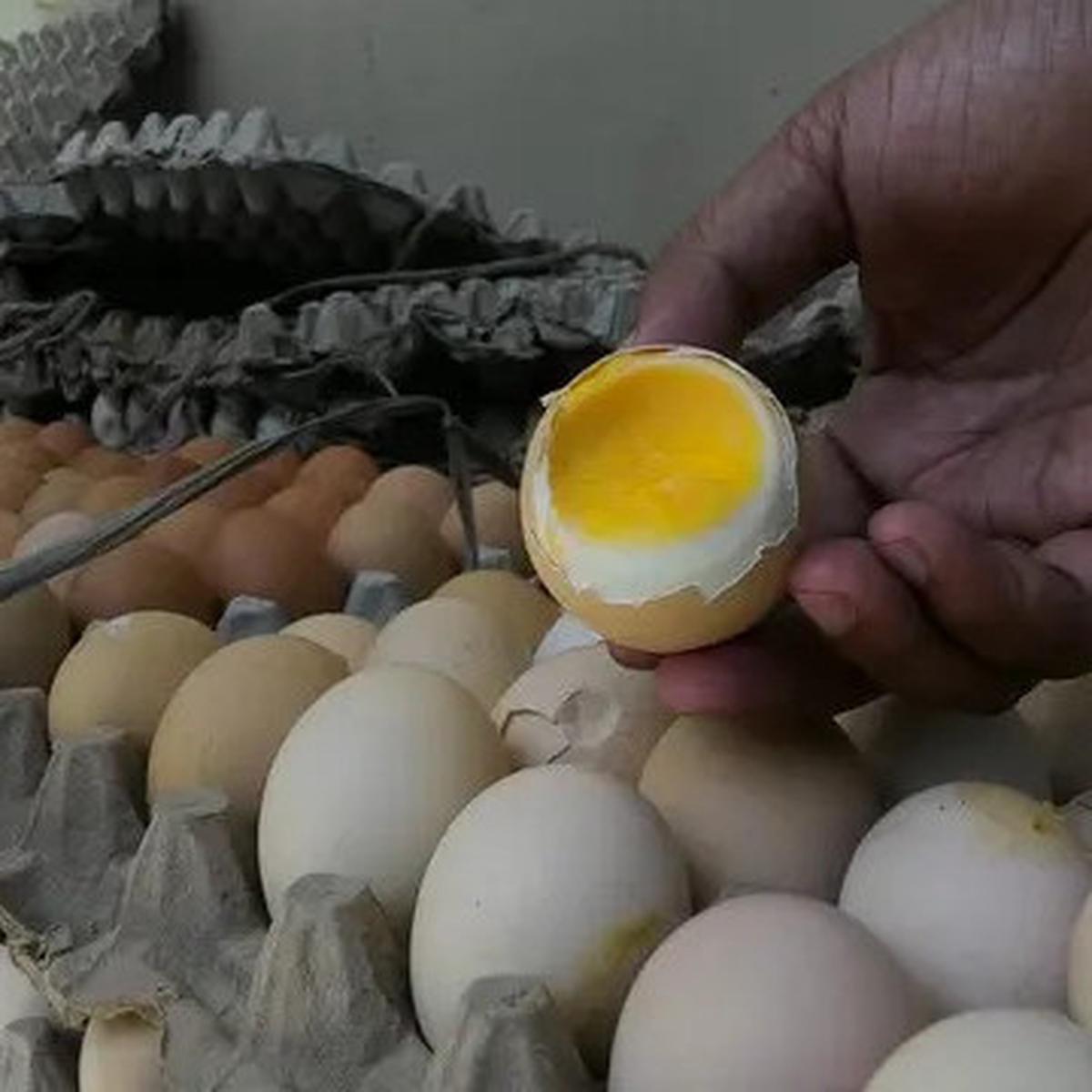 Telur Segar atau Busuk? Gunakan Trik Lampu Senter Ini untuk Mengetahuinya