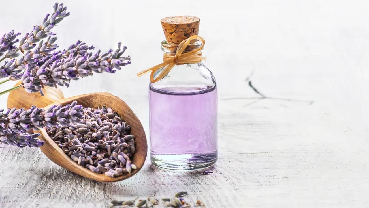 Catatan Perkembangan Parfum dari Masa ke Masa