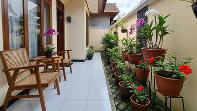 7 Tanaman Bunga Kecil untuk Teras yang Tahan Panas