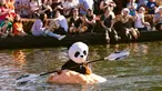 Jason Springs mengenakan kostum panda sambil mendayung labu raksasa menuju garis finish dalam event West Coast Giant Pumpkin Regatta di Tualatin, Oregon, Amerika Serikat pada 16 Oktober 2022. Peserta membuat labu dengan ukuran besar bisa mengambang dan ditumpangi satu orang untuk memenangkan lomba. (Photo by Wesley Lapointe / AFP)