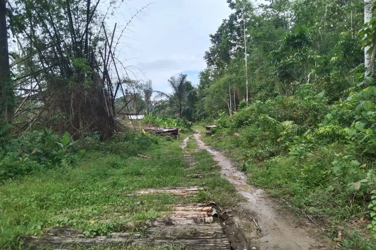 Taman Nasional Rawa Aopa Watumaohai Konawe Selatan (Liputan6.com/Ahmad Akbar Fua)