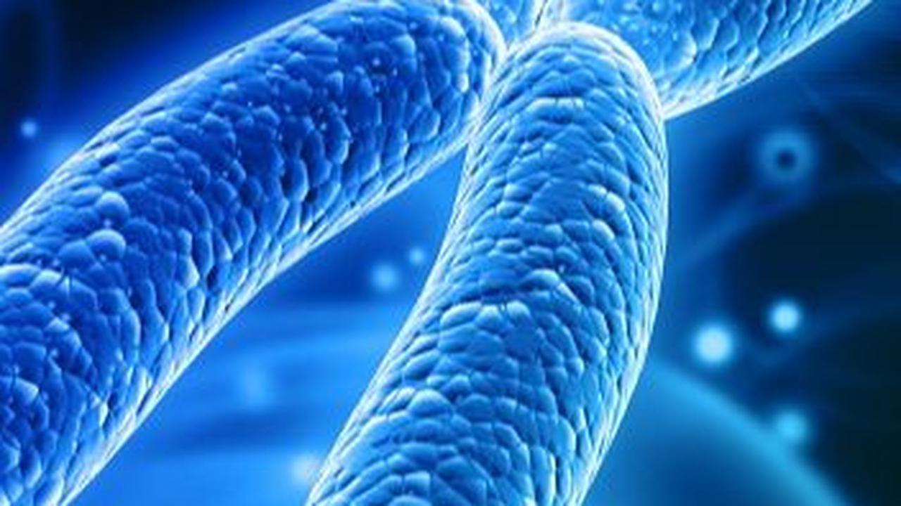 "Untuk makalah yang baru kami publikasikan, kami menganalisis seluruh 23 kromosom, termasuk DNA Y, atau riwayat keturunan ayah," kata dia.