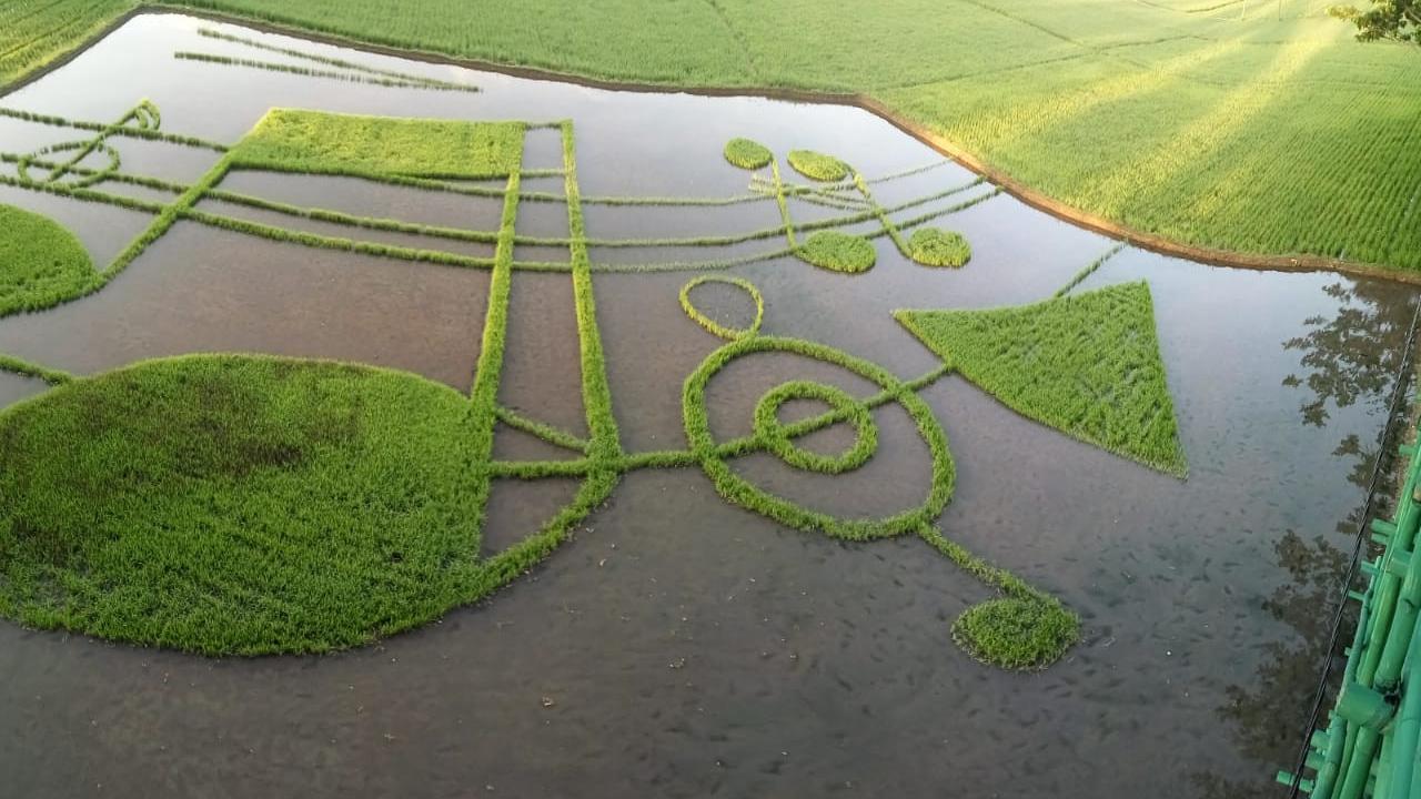Not khatulistiwa, destinasi wisata alternatif yang terbuat dari pematang sawah, di Desa Buntu, Kecamatan Tapa, Kabupaten Bone Bolango, Gorontalo. (Foto: Liputan6.com/Arfandi Ibrahim)