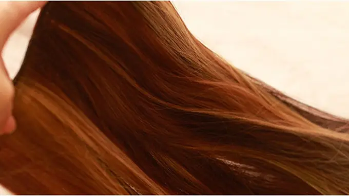 Foto: copyright wikihow.com