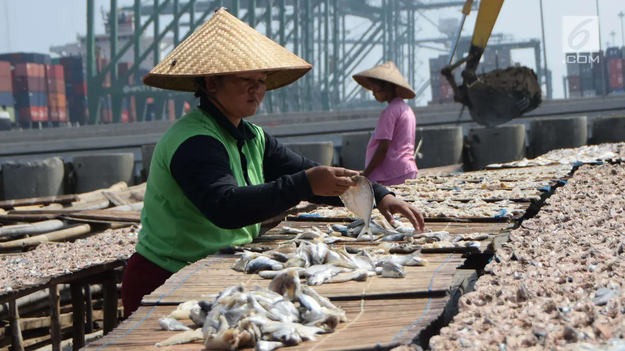 Mengintip Proses Pengeringan Ikan Asin di Cilincing