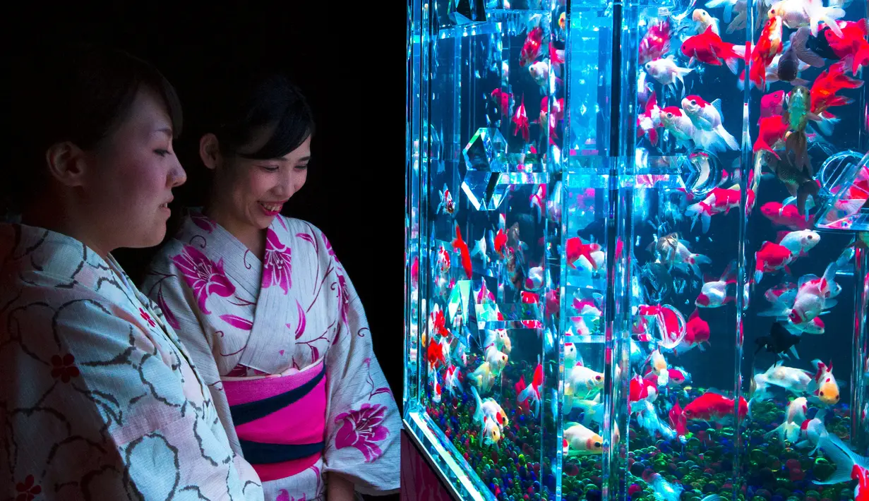 Menurut Becker, melihat ikan berenang memiliki efek sama seperti mendengarkan musik. Perhatian Anda akan teralihkan ke dalam sesuatu yang lebih baik. (REUTERS/Thomas Peter)