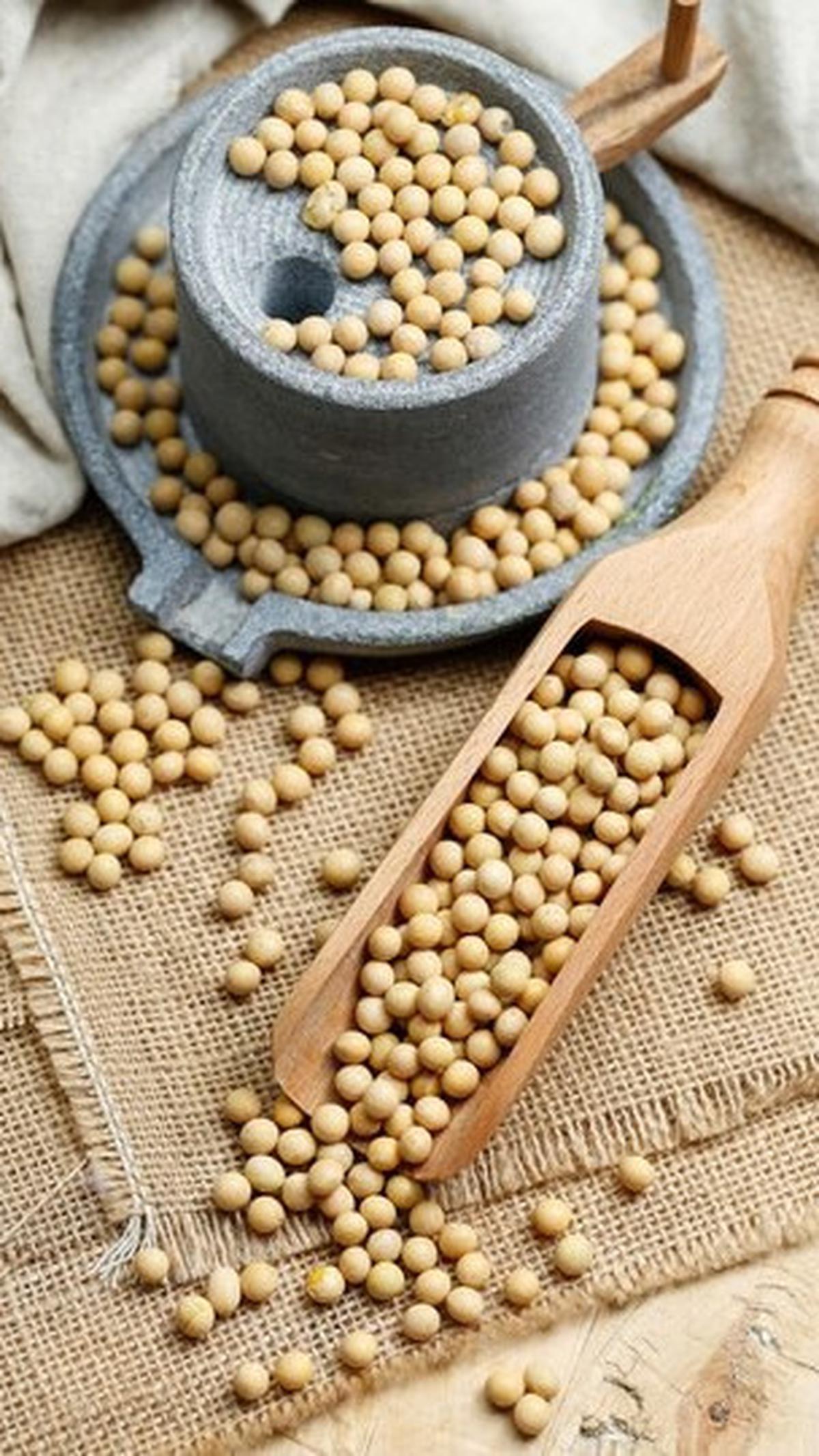 8.&nbsp;Kacang Kedelai: Sumber Protein Tinggi untuk Vegan
