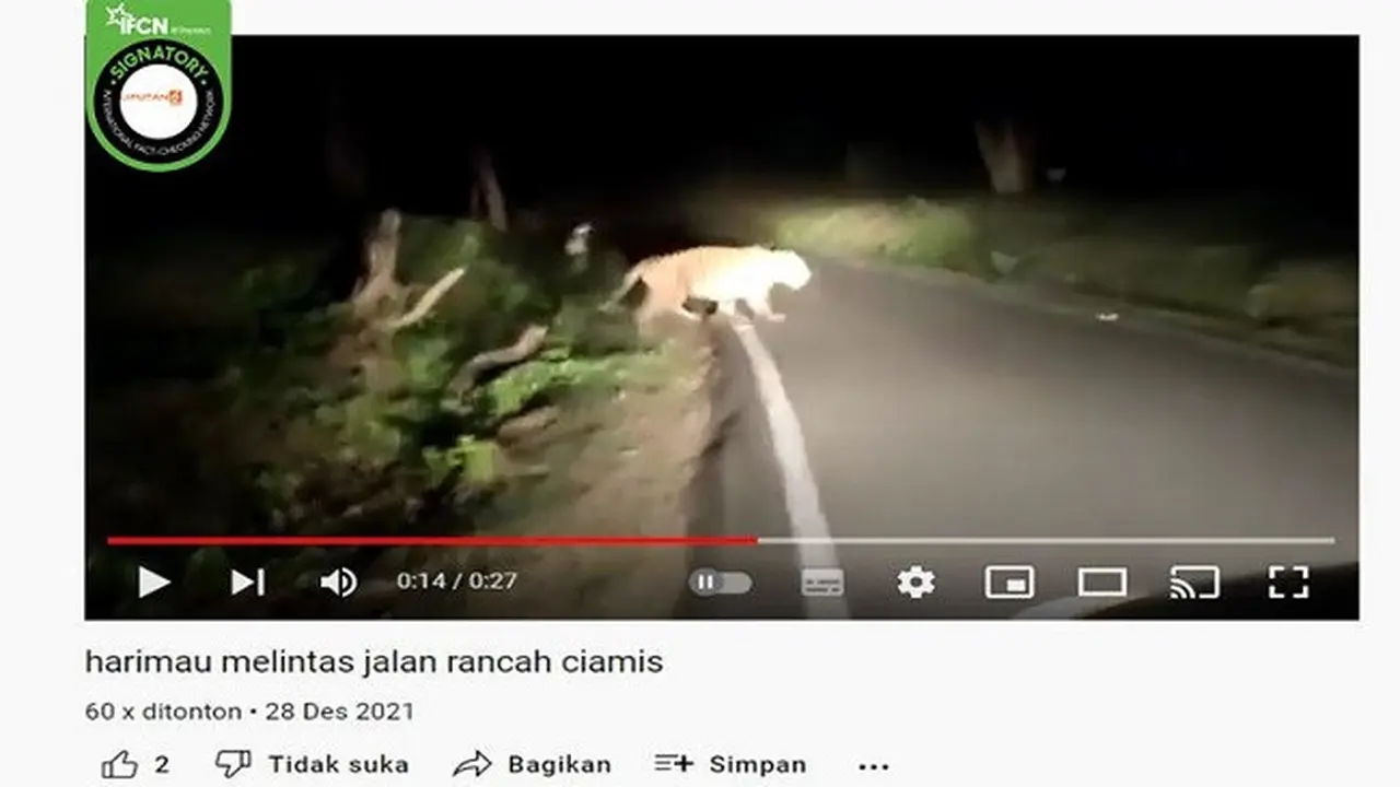 Gambar Tangkapan Layar Video yang Diklaim Harimau Melintas di Jalan Rancah Ciamis (sumber: YouTube).