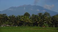 Penampakan Gunung Raung (Dok. Istimewa)