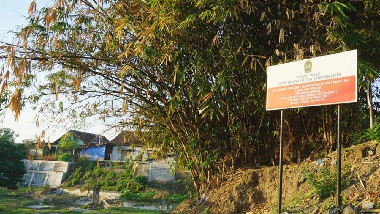 Dari Lahan Tidur 1.500 Meter Persegi: Pemkot Yogya Wujudkan Pertanian Terintegrasi Yogyakarta Berbasis Pengolahan Sampah