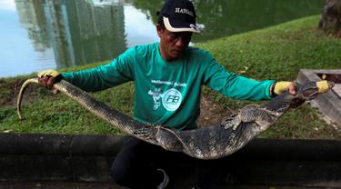 Seorang pekerja memegang biawak yang ditemukan di Taman Lumpini, Bangkok, Thailand, Selasa (20/9). Proses penangkapan biawak sepanjang hampir 2 meter itu menjadi perhatian pengunjung taman. (REUTERS / Athit Perawongmetha)