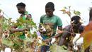 Sejumlah petani memanen kapas di ladang dekat Boromo, Burkina Faso, 19 Oktober 2021. Jutaan orang di Burkina Faso mengandalkan hidupnya dari kapas. (ISSOUF SANOGO/AFP)