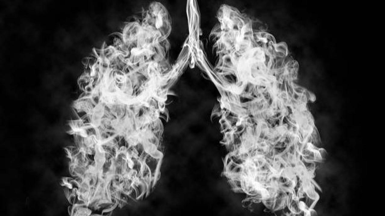 <b>Kenapa Rokok bisa Merusak Paru-paru?</b><br>
