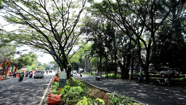 Kontroversi Rencana Tebang Pohon untuk Proyek Drainase Pencegah Banjir di Kota Malang