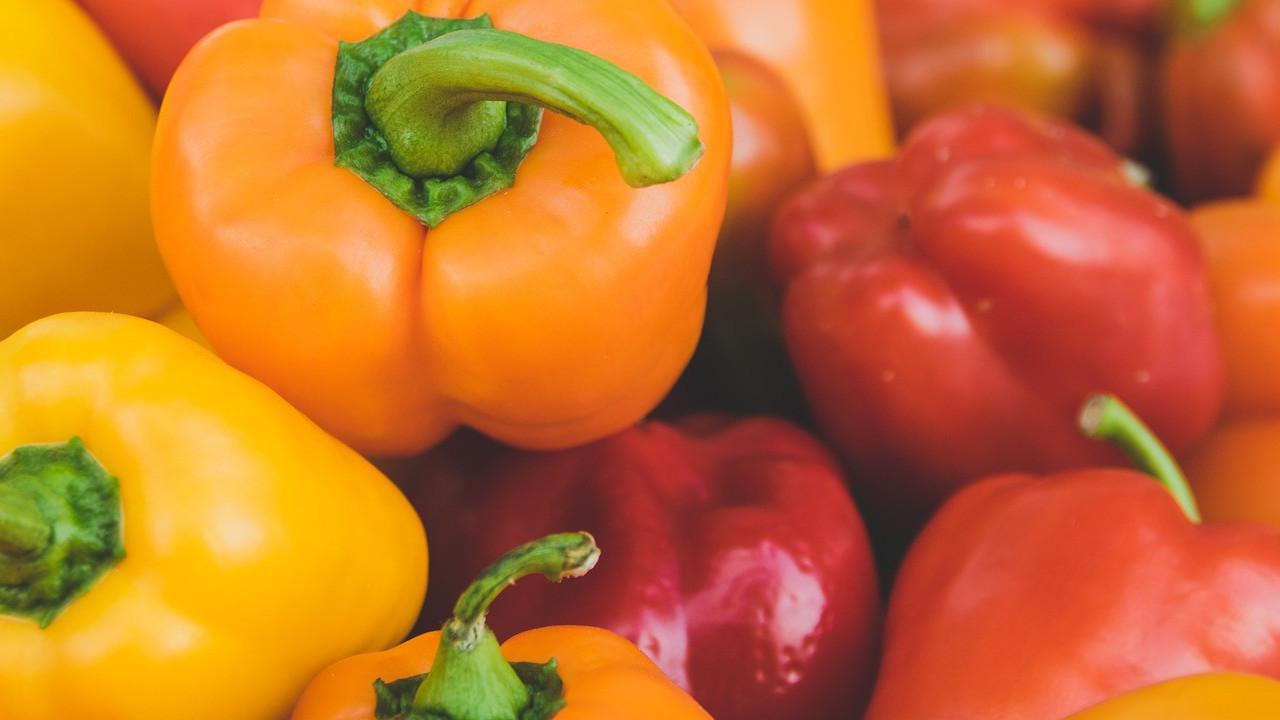Ilustrasi Paprika