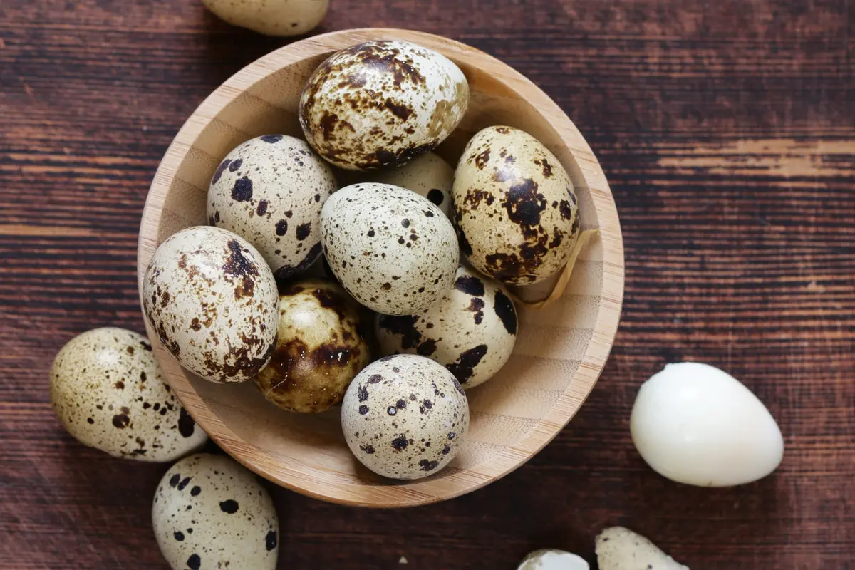 Telur puyuh