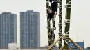 Para pemadam kebakaran berpakaian tradisonal memperlihatkan atraksi berbahaya berdiri di atas bambu saat perayaan Tahun Baru di Tokyo, Jepang, Jumat (6/1). Mereka memperlihatkan berbagai aksi-aksi mendebarkan di atas bambu. (Toshifumi KITAMURA/AFP)