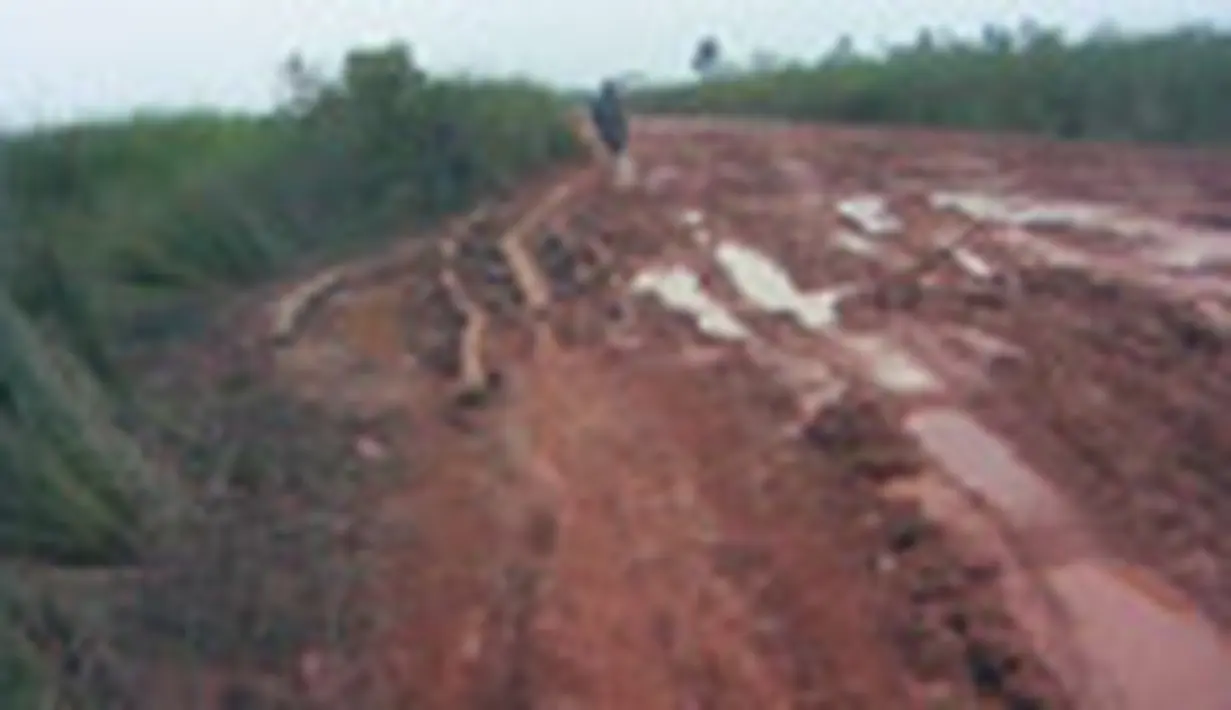 liputan6