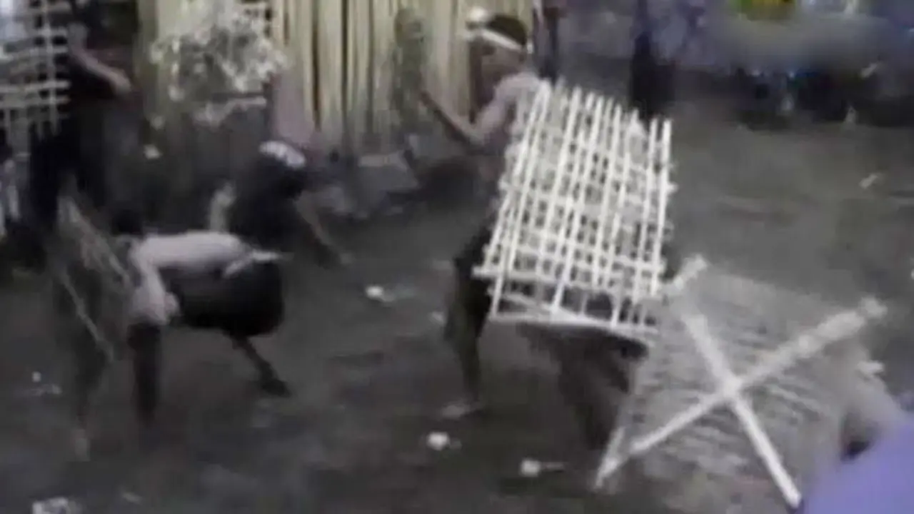 Segmen 7: Ritual Minta Turun Hujan hingga Festival Lembah Baliem 