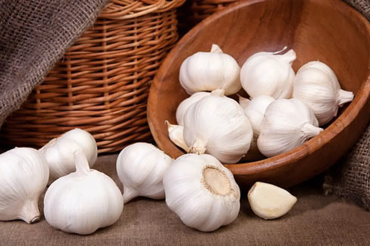 Photo: Copyright Thinkstockphotos.com