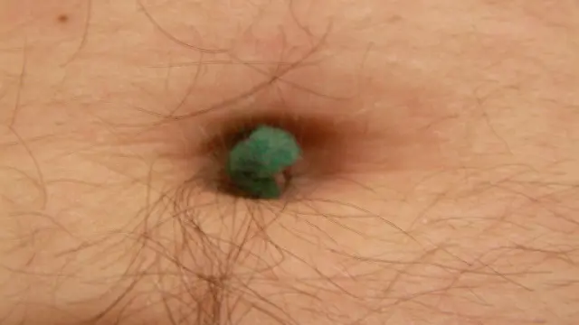 Fakta ilmiah aneh (5)