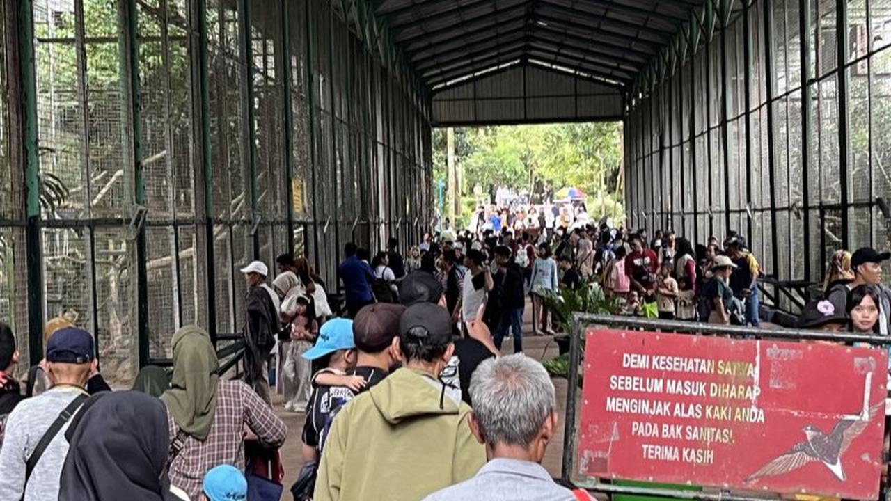 Libur Lebaran, Warga Pilih Berwisata ke Ragunan Karena Murah dan Edukatif