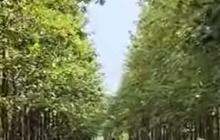 Potret Terkini Pembangunan Jalan Tembus Blora-Ngawi, Seperti Jalan Tol di Tengah Hamparan "Bukit Teletubbies"