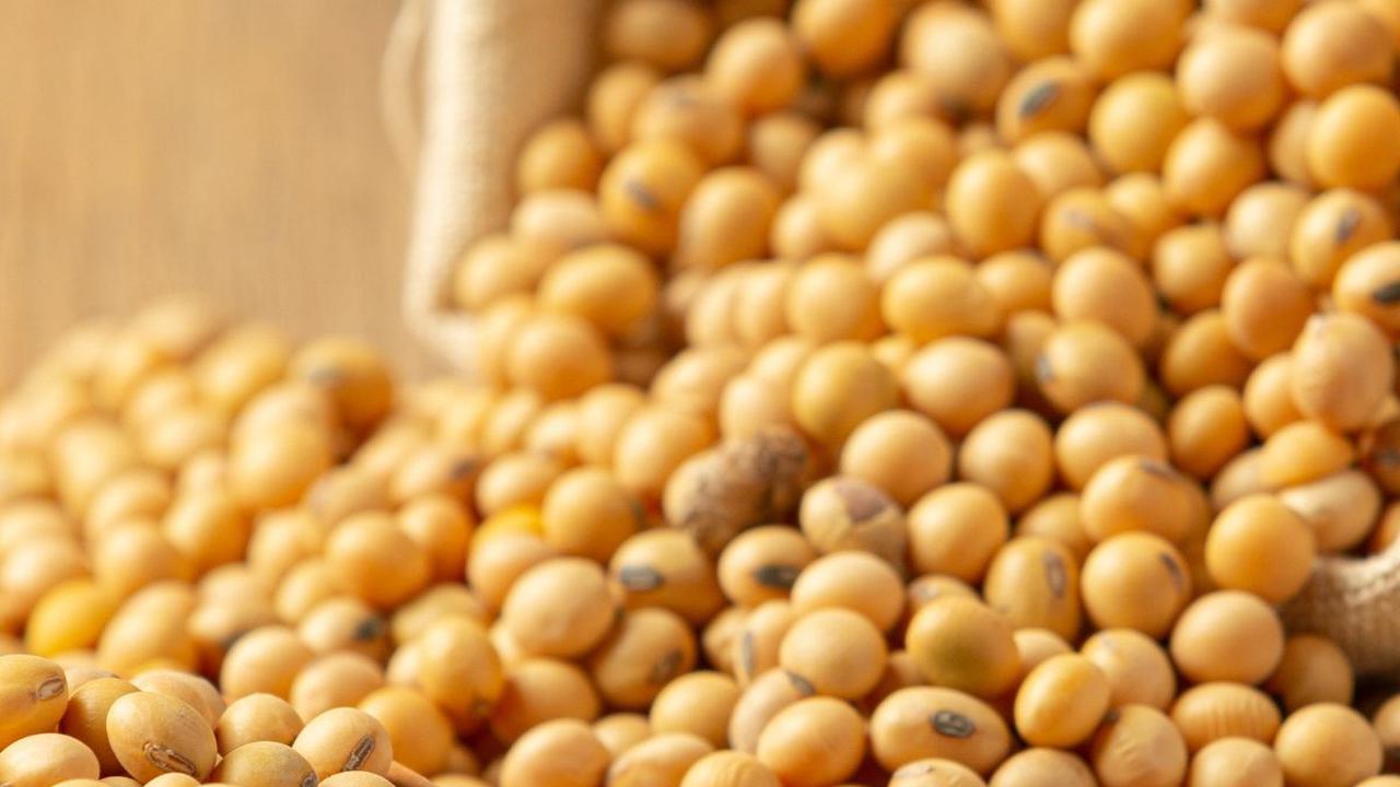 Kacang dan Lentil
