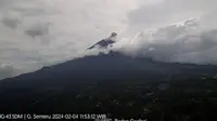 Gunung Semeru kembali erupsi dengan tinggi letusan 600 meter dari kwah puncak (Istimewa)