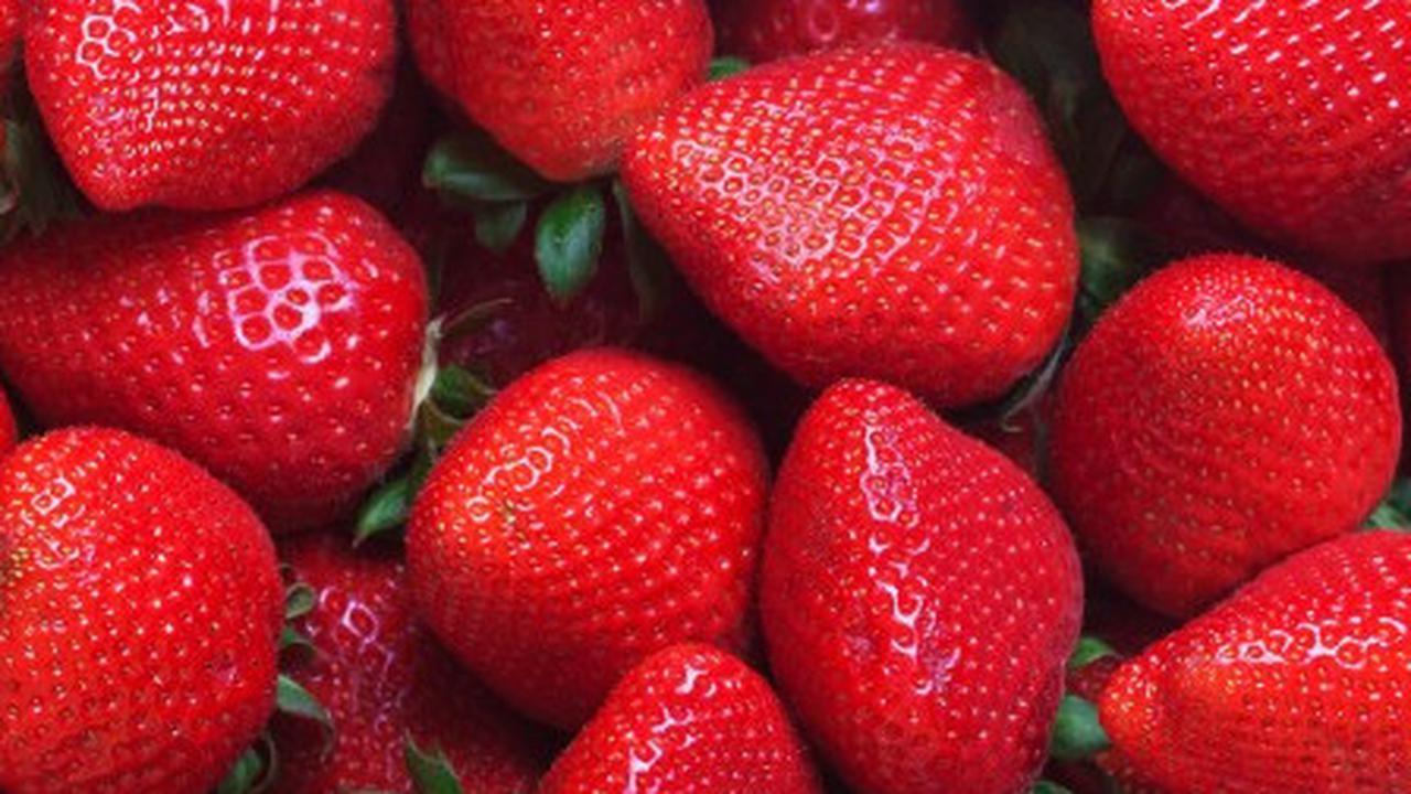 Gambar Ilustrasi Buah Stroberi