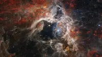 Teleskop JSWT Menangkap Gambar Nebula. (NASA, ESA, CSA, STScI, Webb ERO Production Team)