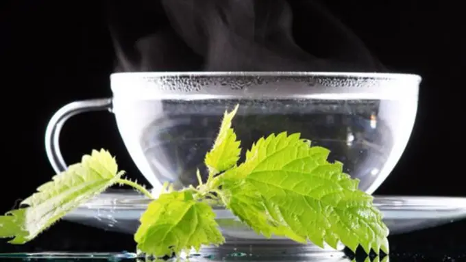 Foto: copyright shutterstock.com