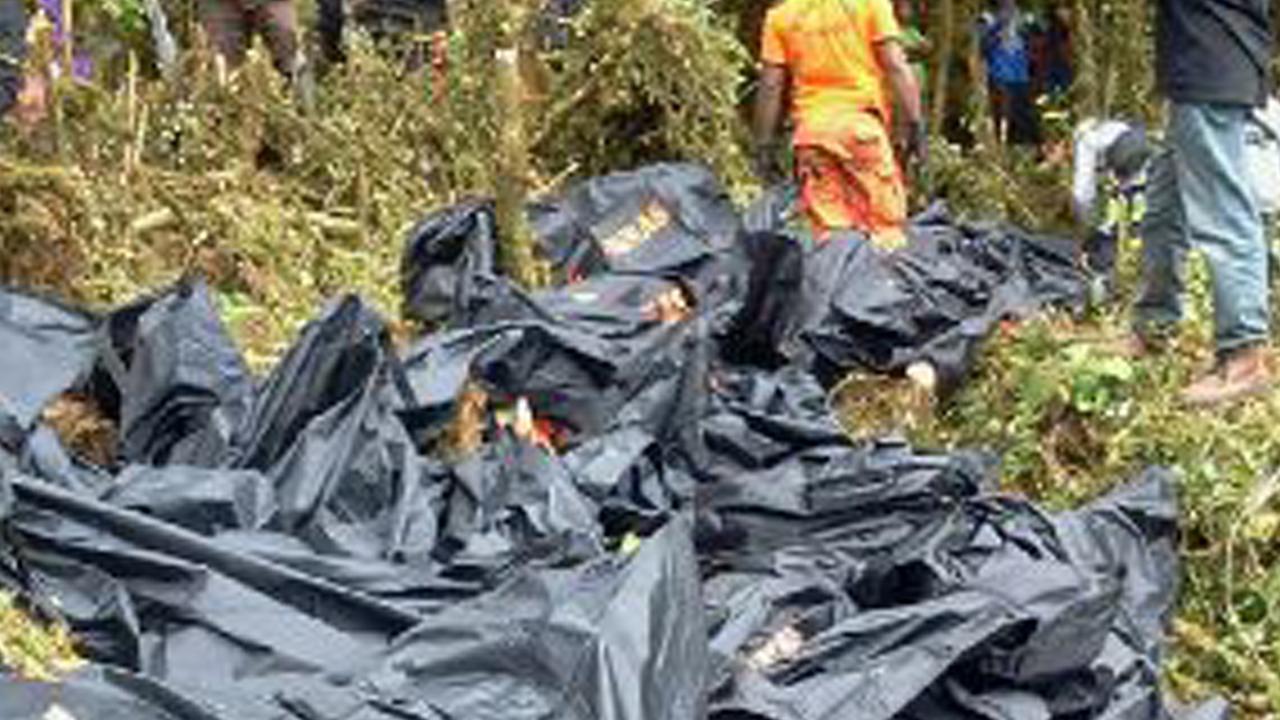 20150818-Pesawat Hancur, Uang Rp 6,5 M di Trigana Air Ditemukan Hangus-Papua