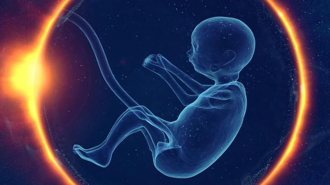 Wandering Womb