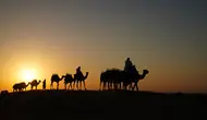 Unta terlihat di Dubai Desert Conservation Reserve, destinasi safari gurun di Dubai, Uni Emirat Arab (UEA). (dok. Platinum Heritage)